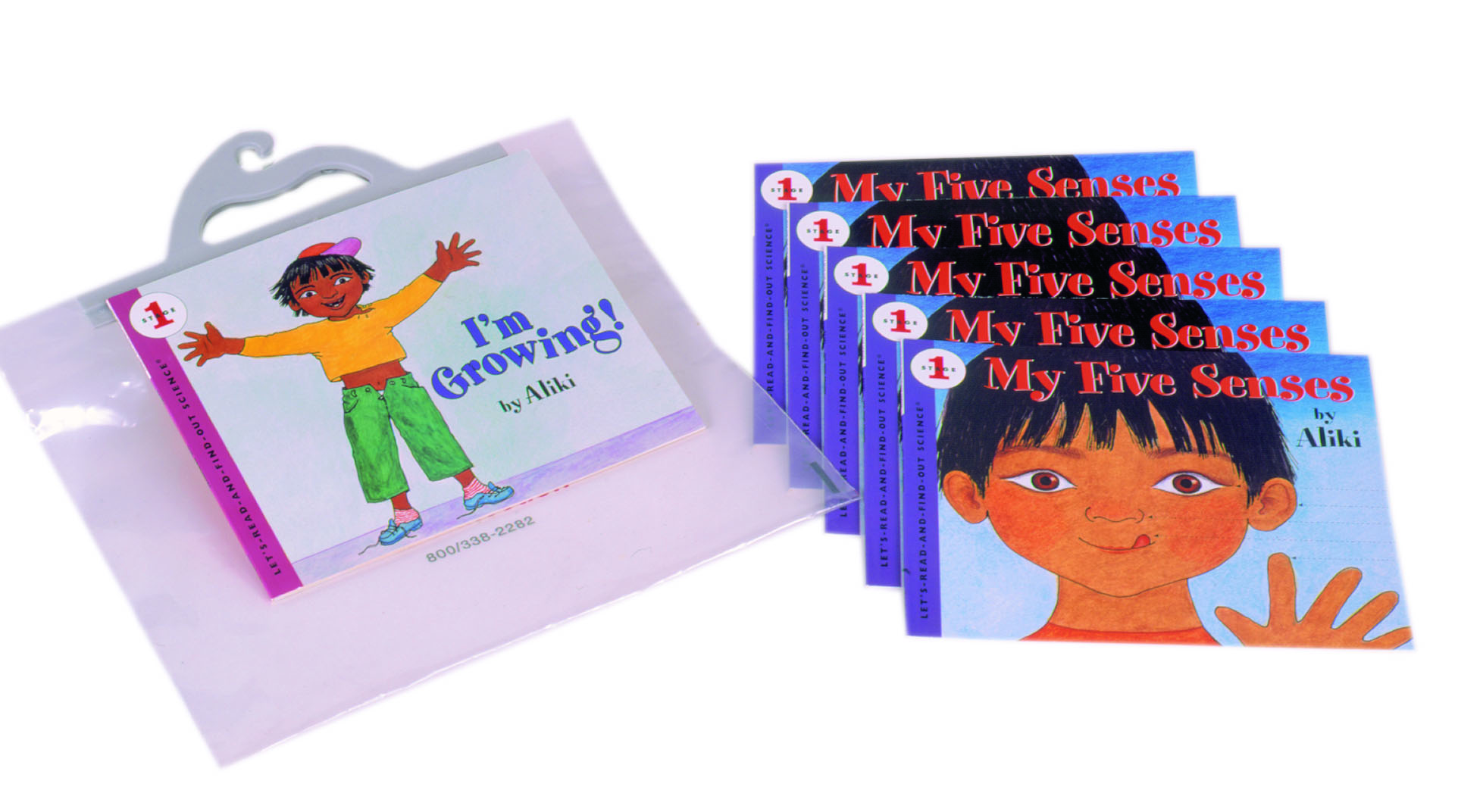 aliki author study